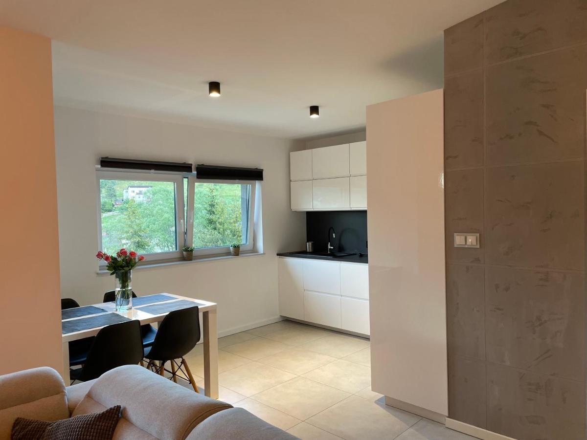 Apartament Z Klimatem II Wisła Extérieur photo